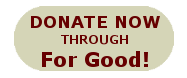 Donate Now Through For Good